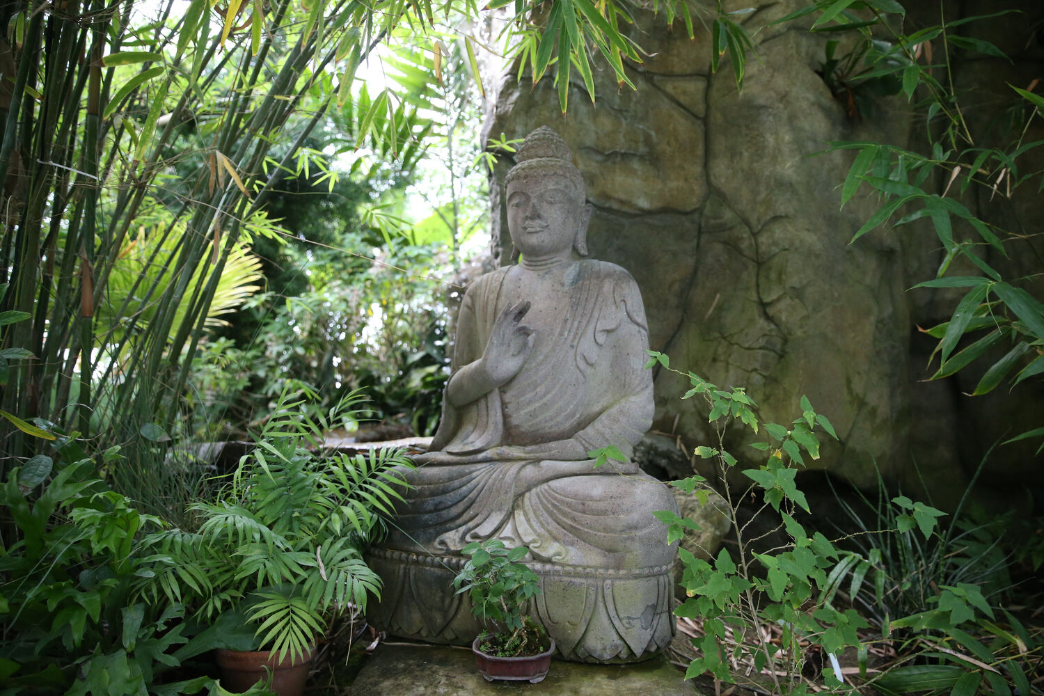 Buddha